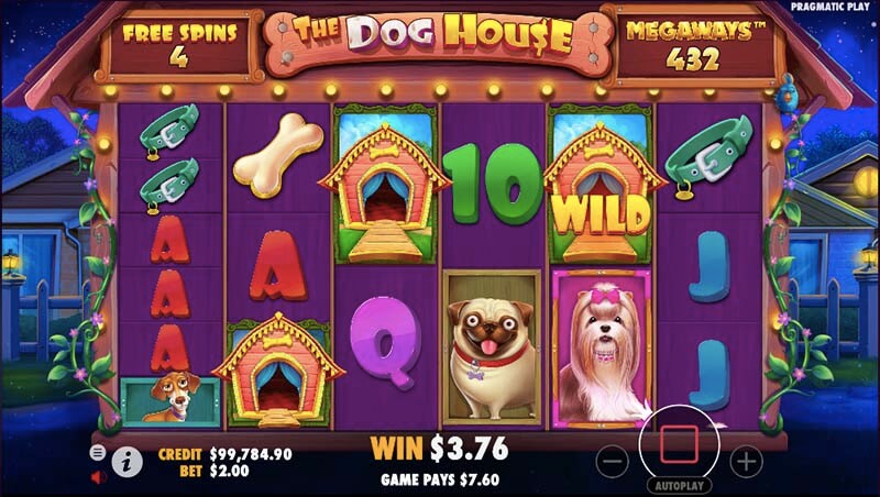 Dog House Megaways max win