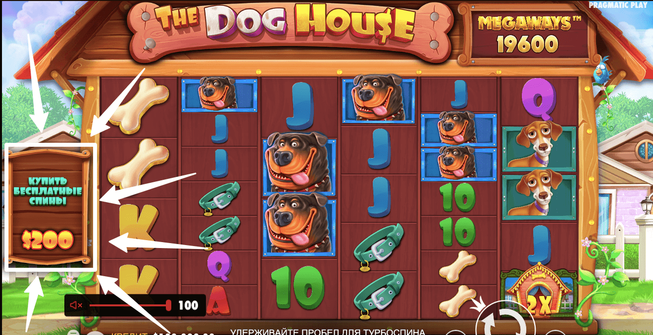 Покупка бонуски в игровом автомате Dog House Megaways