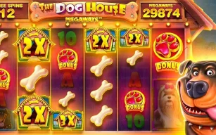 Strategies and Tactics for Dog House Megaway