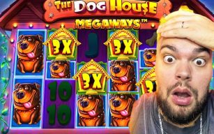 Dog House Megaways Big Win Stories – Huge Payouts & Lucky Players