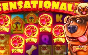 Top UK Casinos for Dog House Megaways – Best Sites to Play & Win Big