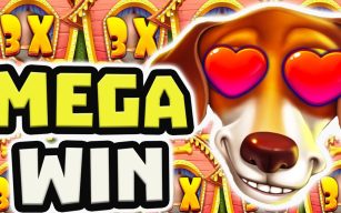 Dog House Megaways Maximum Win – How Big Can You Win?