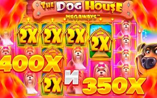 Dog House Megaways Slot Features – A Complete Guide