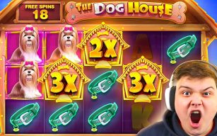 Dog House Megaways Promotions UK – Best Casino Bonuses & Offers