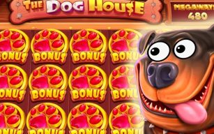 iOS Dog House Megaways App – How to Play on iPhone & iPad